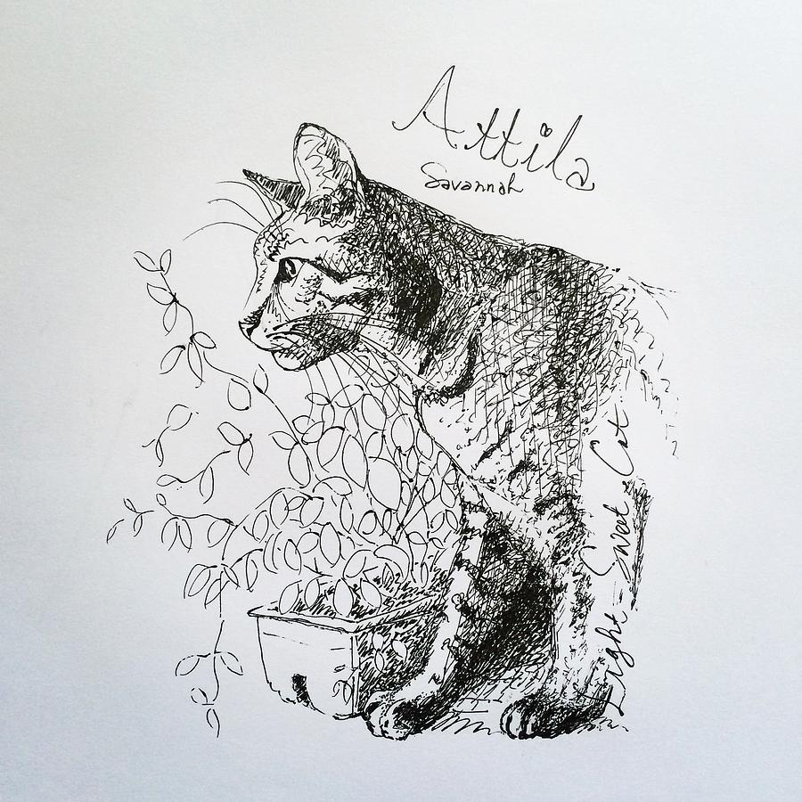 Attila Drawing by Pookie Pet Portraits - Fine Art America