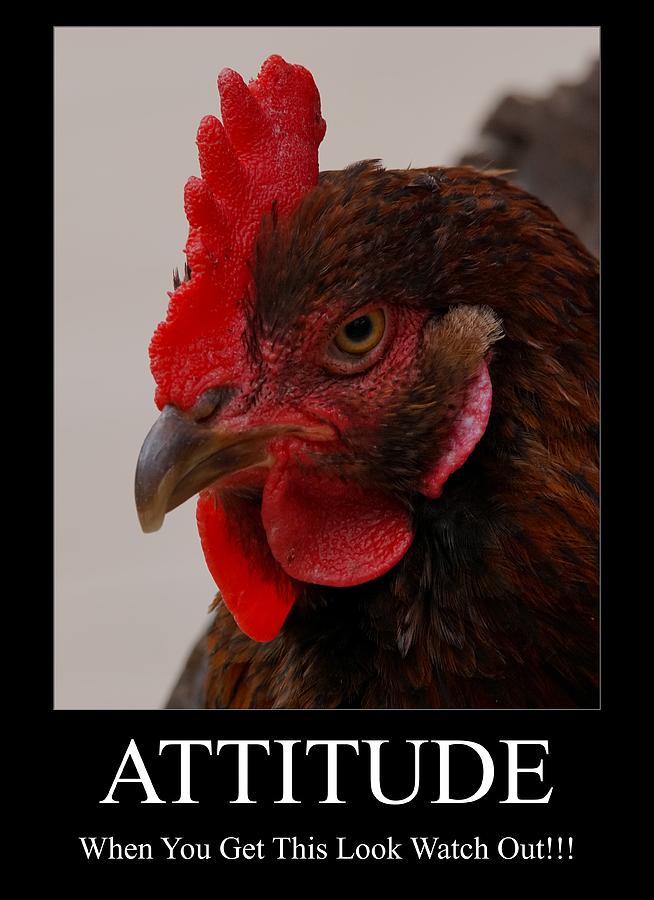 Attitude Photograph by Ernest Echols