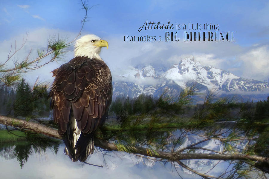 Eagle Photograph - Attitude Makes A Difference by Lori Deiter