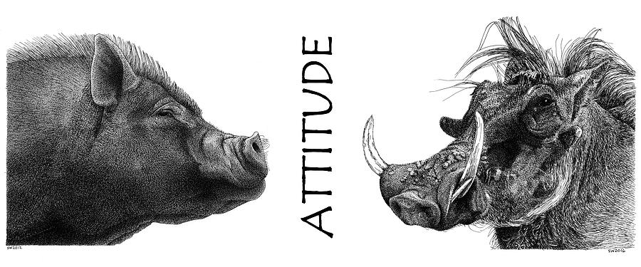 Attitude Drawing by Scott Woyak