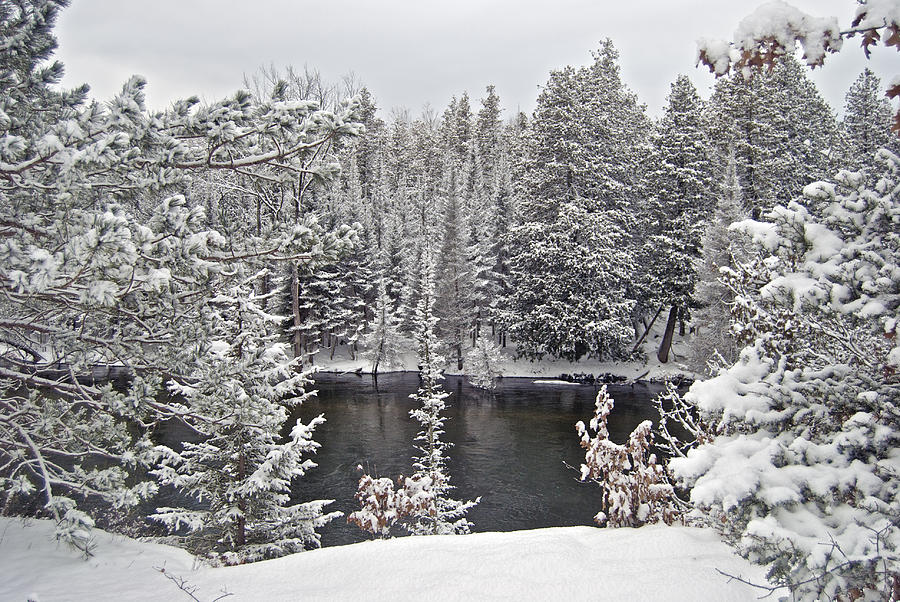 Au Sable River Overlook Photograph by Michael Peychich