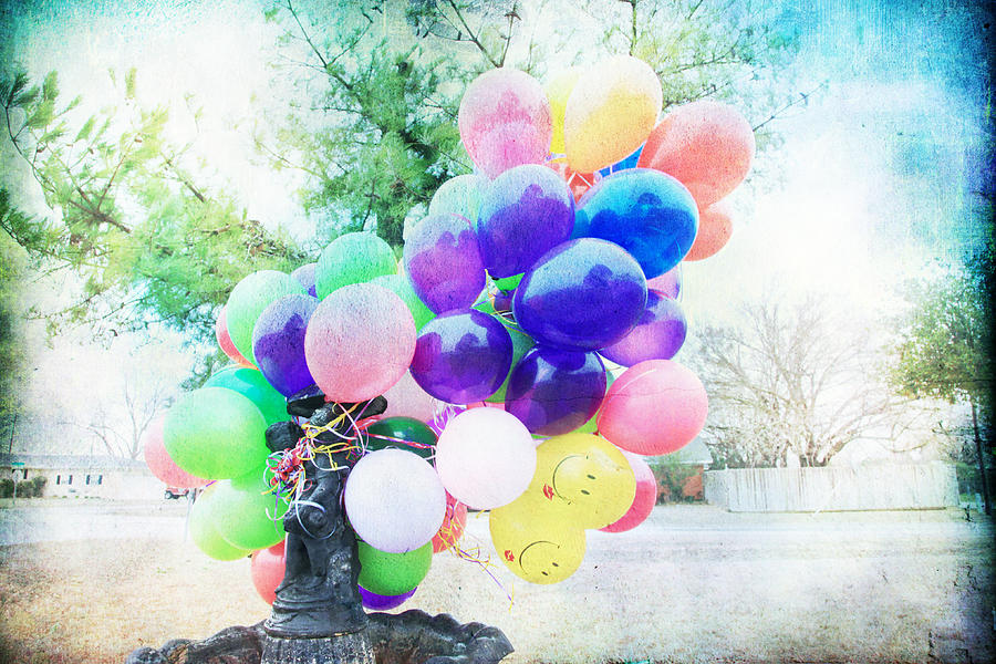 Smiley Face Balloons Photograph by Toni Hopper