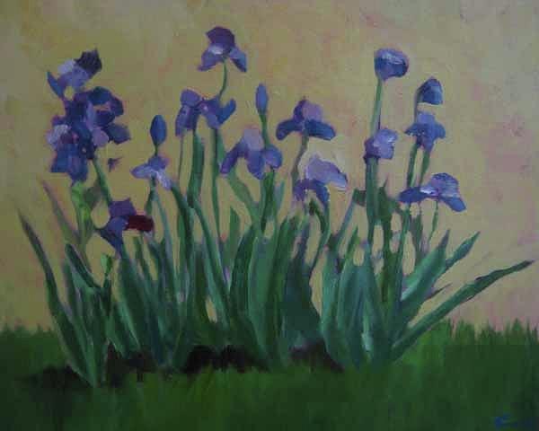 Aubreys Irises Painting by Constance Gehring