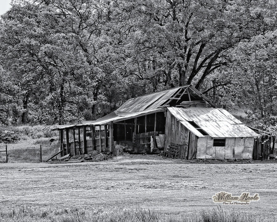 Auburn Barn by William Havle Auburn Barn by William Havle