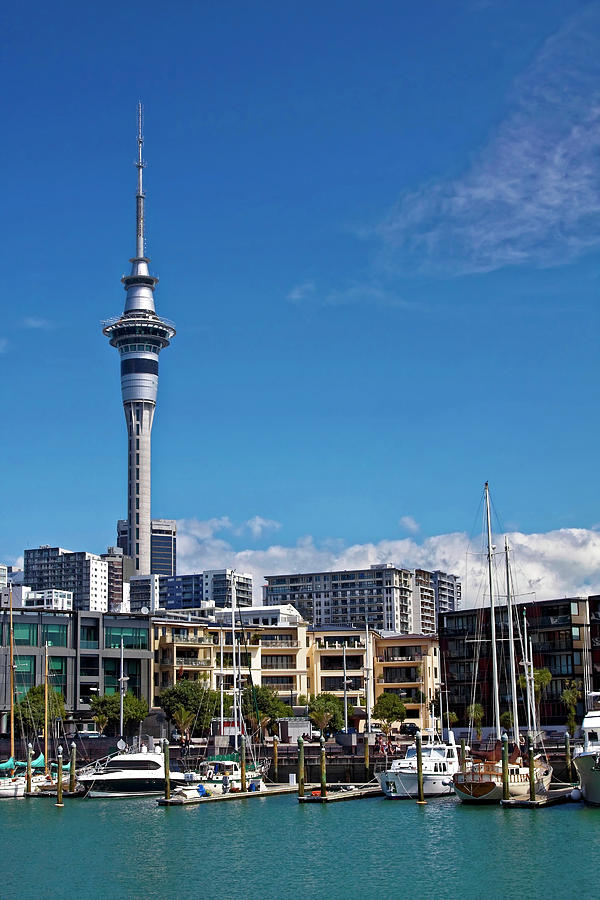 Auckland Harbour Photograph by Sally Weigand