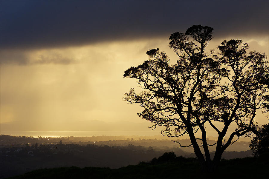 Auckland in the Morning Photograph by Evgeny Vasenev