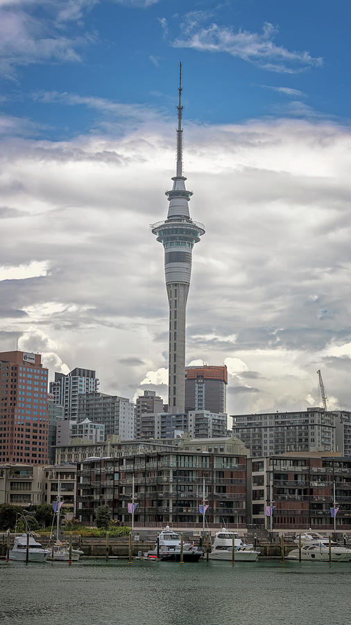 Auckland New Zealand Sky Tower Photograph by Joan Carroll