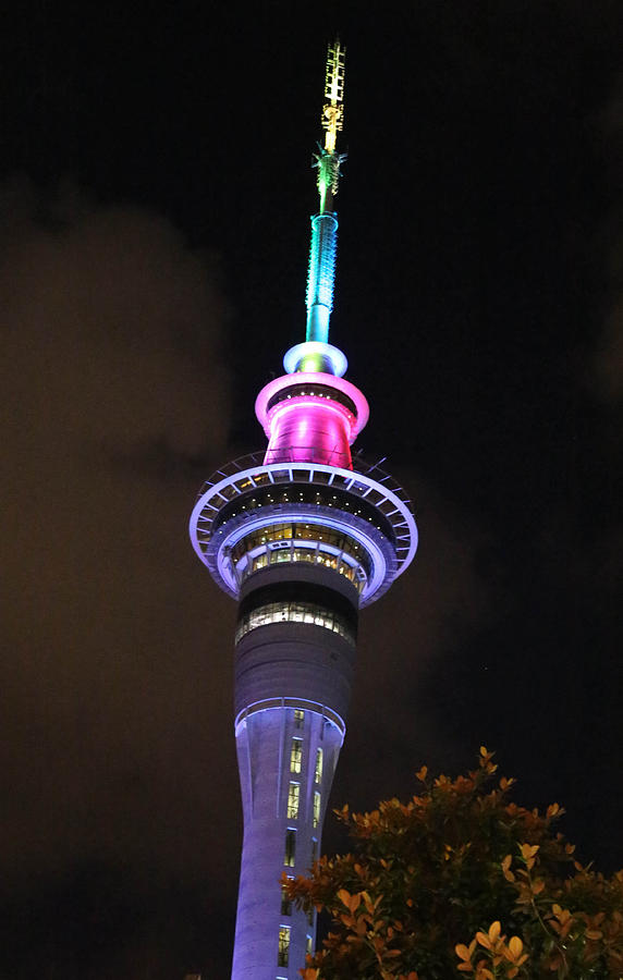 Auckland Space Needle Photograph by Steele David Pixels