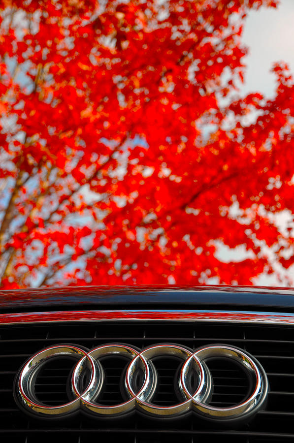 Fall Photograph - Audi by Dragan Kudjerski
