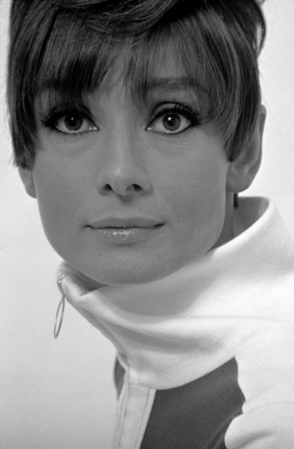 Audrey Hepburn 1966 Photograph by Retro Photography Archive