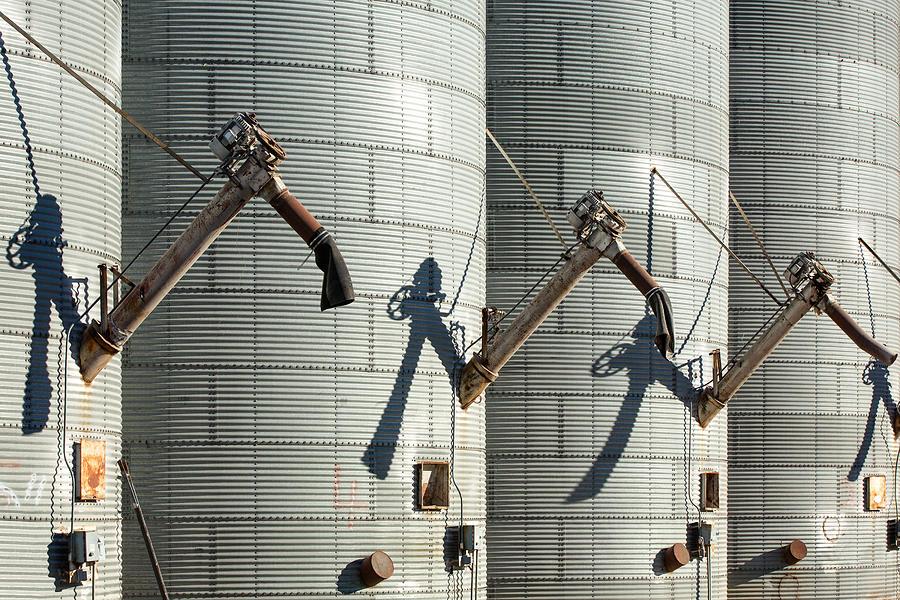 Augers Waiting Photograph by Todd Klassy