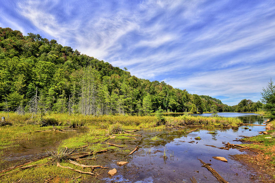 August at Bald Mountain Pond Photograph by David Patterson