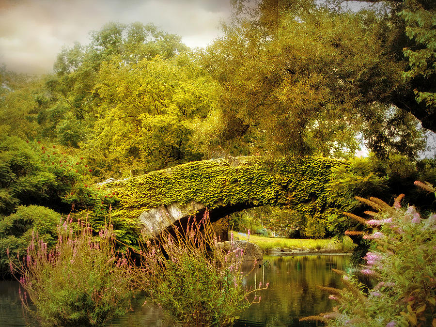 Nature Photograph - August at Gapstow Bridge by Jessica Jenney