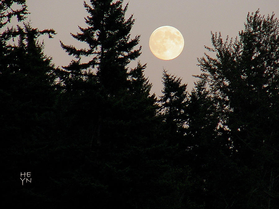 August Full Moon - 1 Photograph by Shirley Heyn