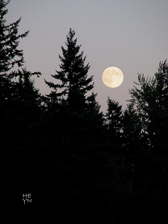 August Full Moon - 2 Photograph by Shirley Heyn