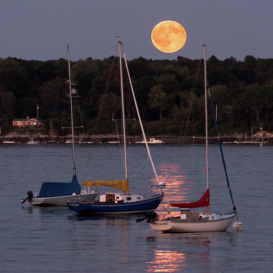 Summer Photograph - August Full Moon by Jack Milton