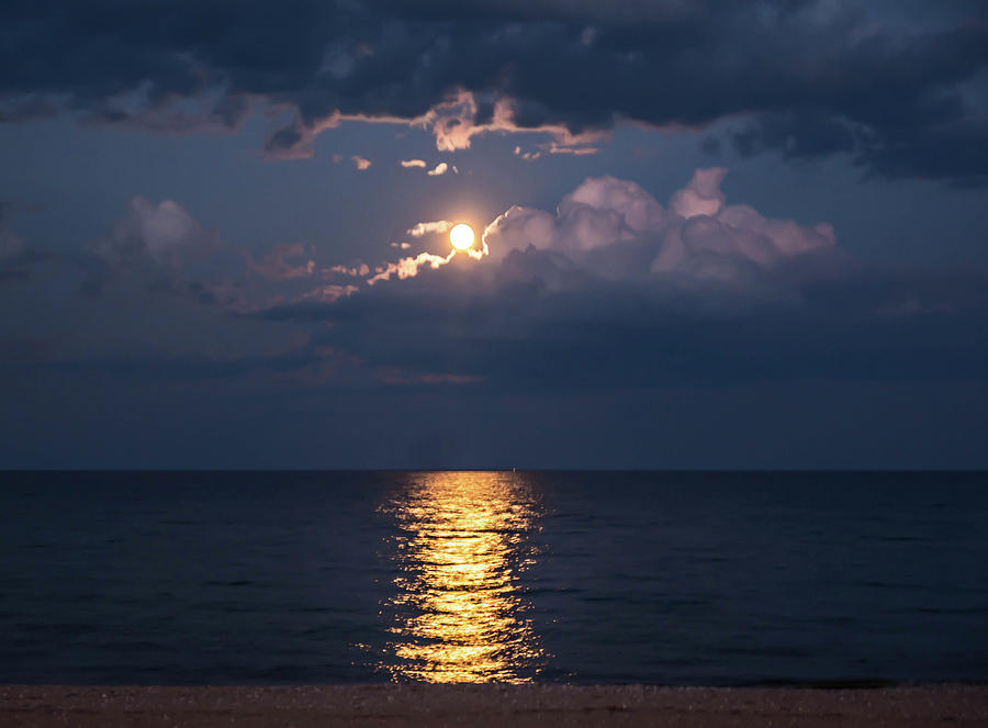 August Full Moon Photograph by Patti Raine