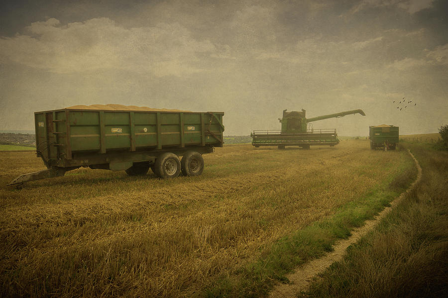 August Harvest Photograph by Chris Lord