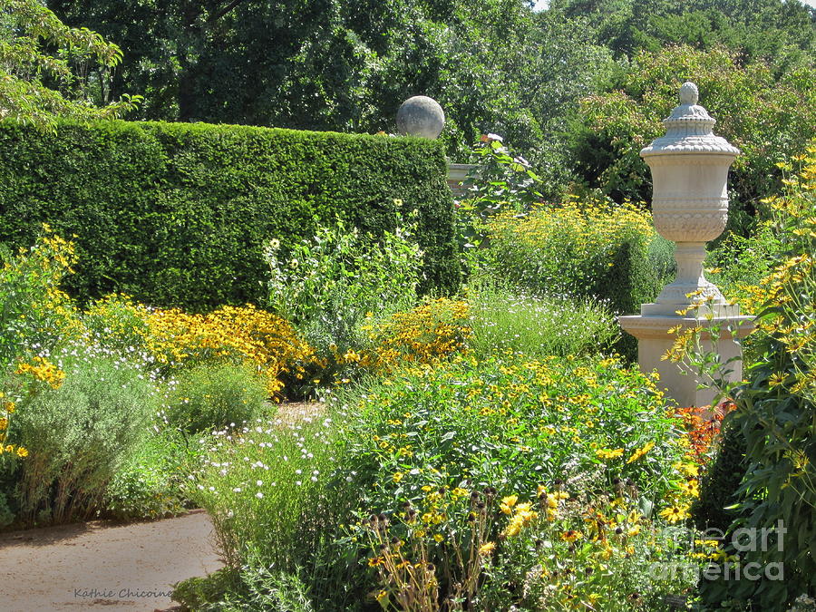 August in the English Garden Photograph by Kathie Chicoine