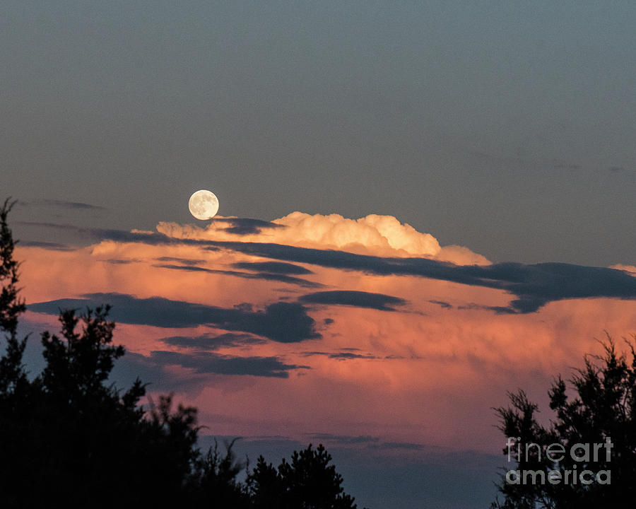 August Moon Photograph by Steven Natanson