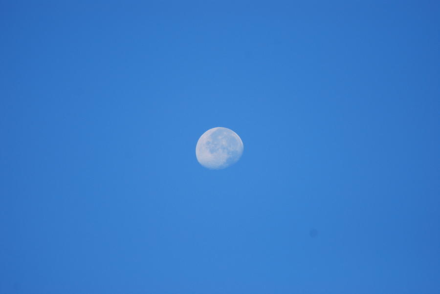 Summer Photograph - August Morning Moon by StudioBoldt   Photography