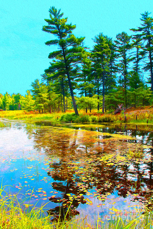 Tree Photograph - August Pond Water Painting by Nina Silver