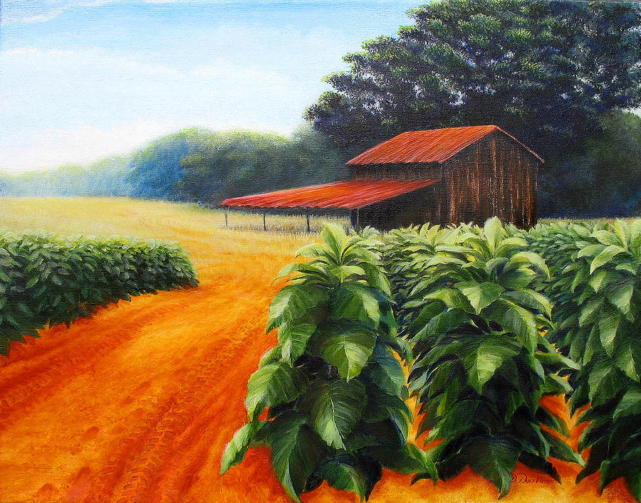 Tobacco Painting - August Tobacco with Barn by Duane Dorshimer