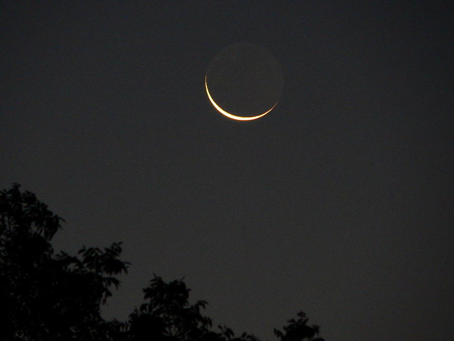 August waning crescent moon Photograph by Virginia White
