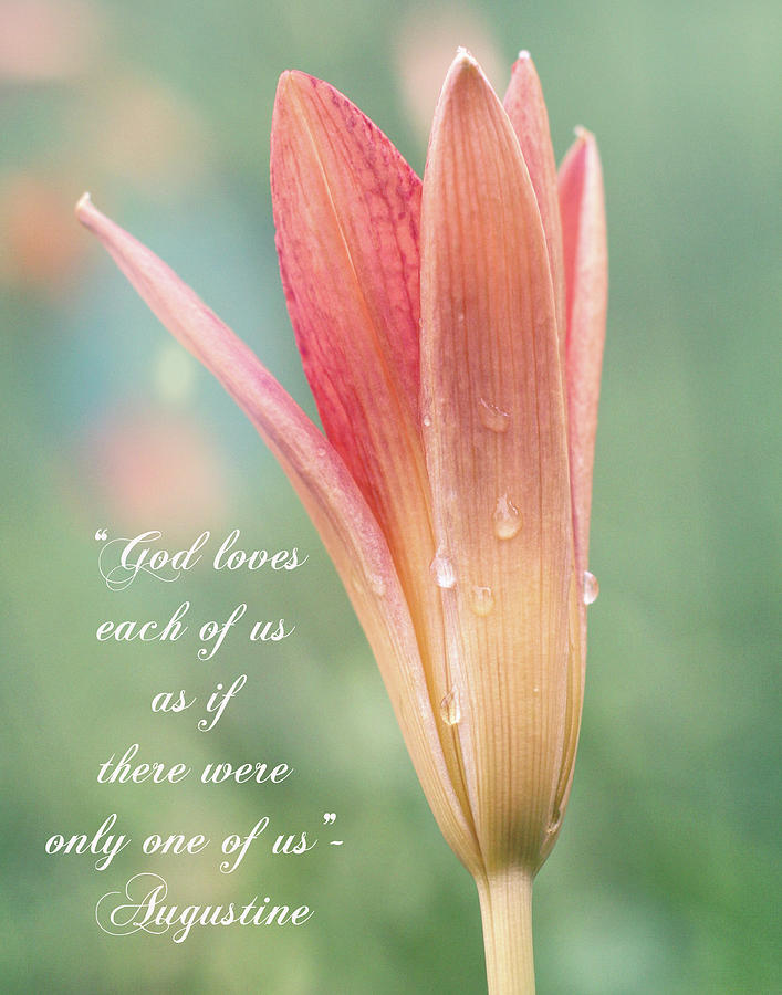 Augustine quote God loves each of us with opening Lily Photograph by Denise Beverly