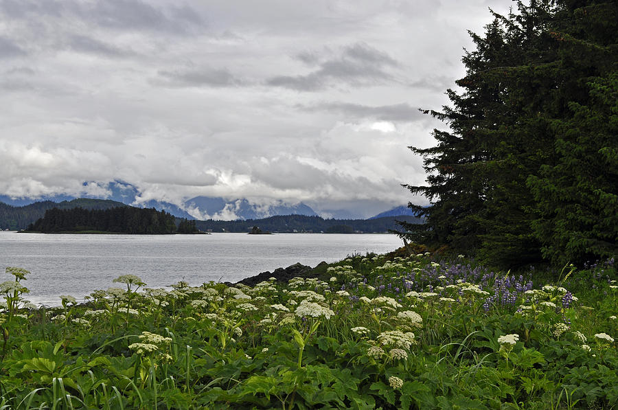 Auke Bay from Point Louisa Photograph by Cathy Mahnke