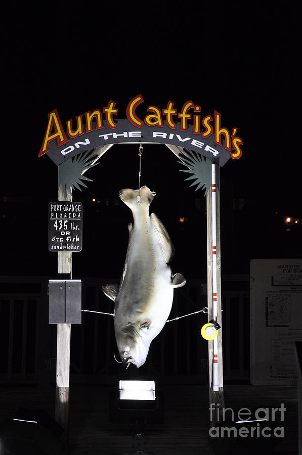 Aunt Catfish Photograph by John Black