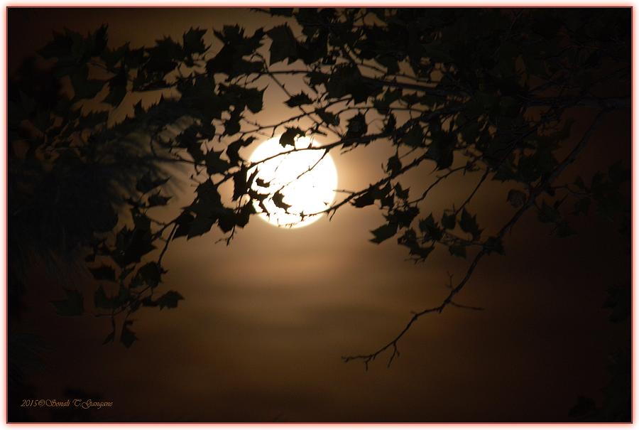 Aura of Full Moon Photograph by Sonali Gangane