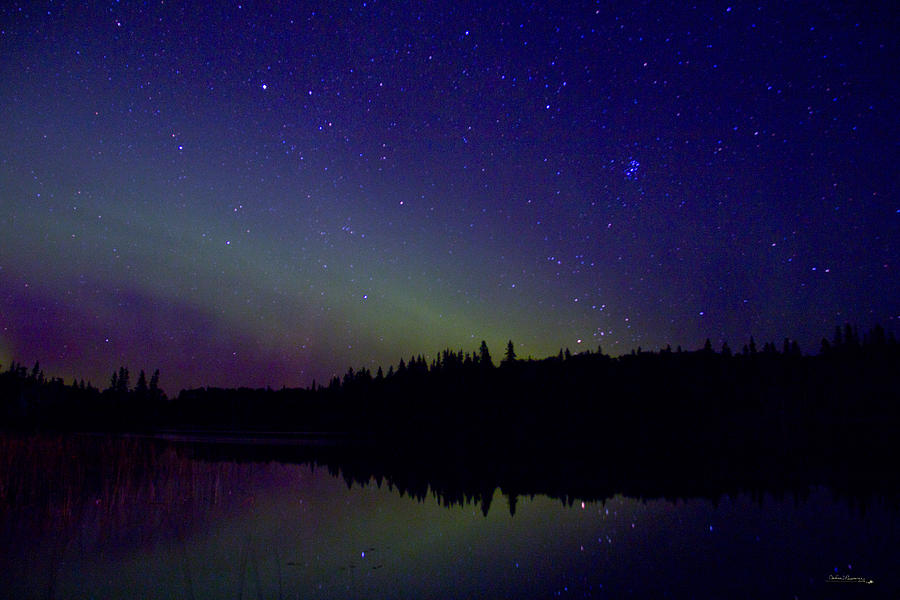 Aurora at Piprell Lake  Photograph by Andrea Lawrence