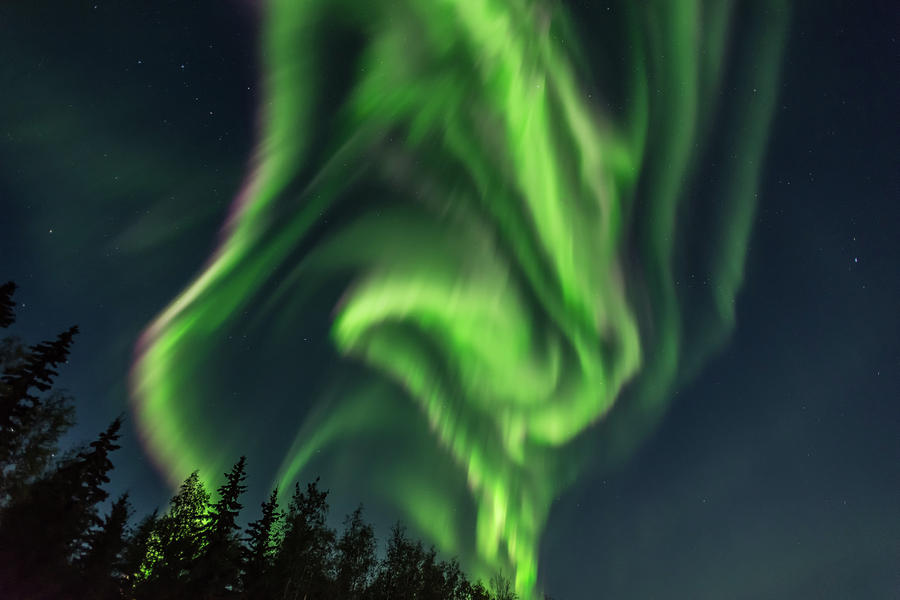 Aurora Borealis in Fairbanks Alaska Photograph by Brenda Jacobs