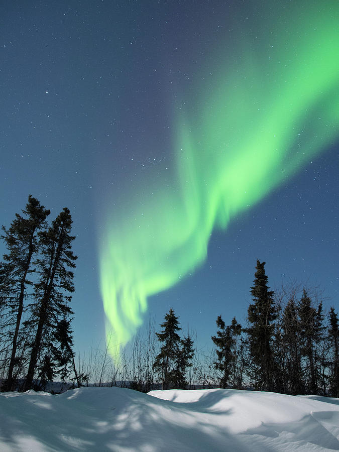 Aurora Borealis Magic by Brenda Smith DVM Aurora Borealis Magic by Brenda Smith DVM