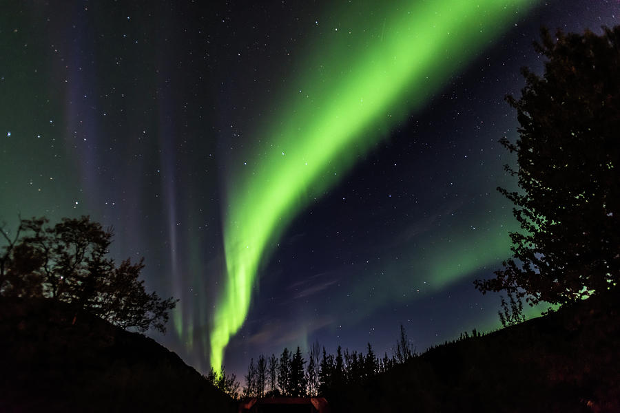 Aurora Borealis, Norther Lights in Denali National Park Photograph by Brenda Jacobs