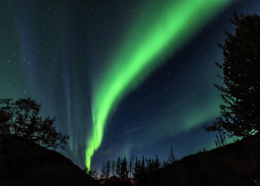 Aurora Borealis, Northern Lights in Denali National Park Photograph by Brenda Jacobs