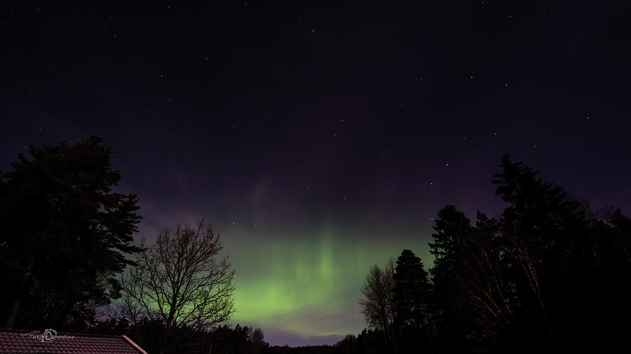 Aurora Borealis Northern Lights Photograph