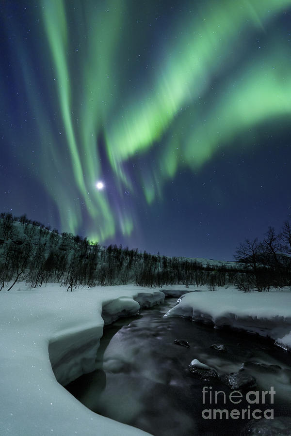 Winter Photograph - Aurora Borealis Over Blafjellelva River by Arild Heitmann