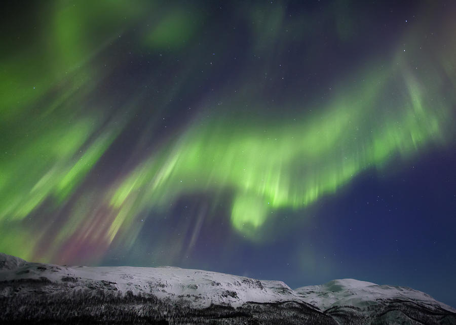 Aurora Borealis Over Blafjellet Photograph by Arild Heitmann | Fine Art ...