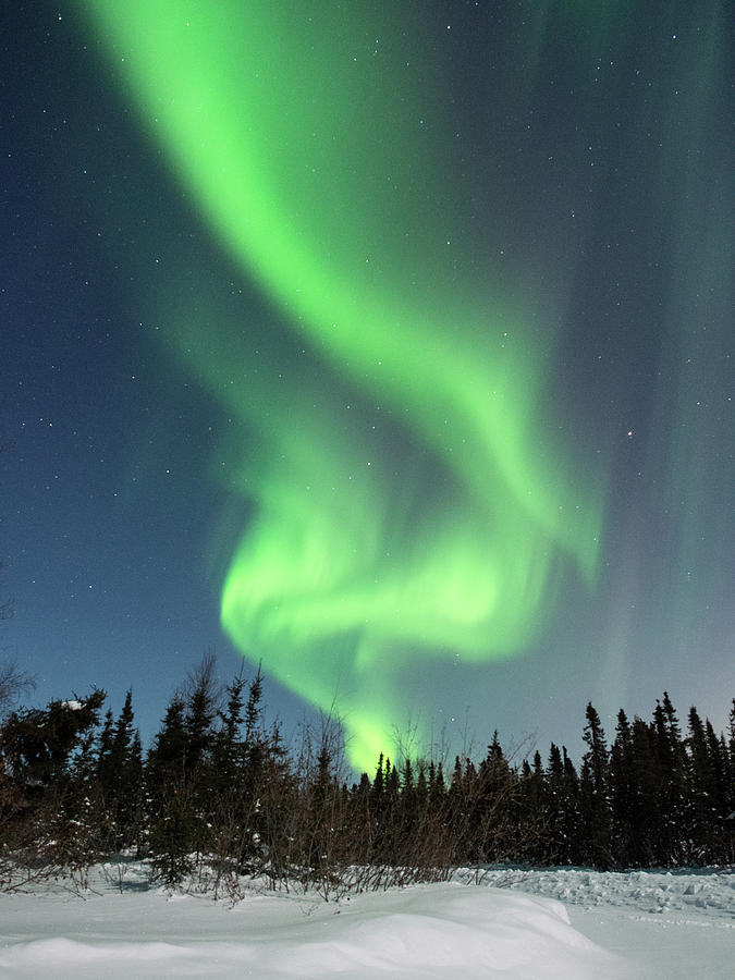 Aurora Borealis Swirls by Brenda Smith DVM Aurora Borealis Swirls by Brenda Smith DVM
