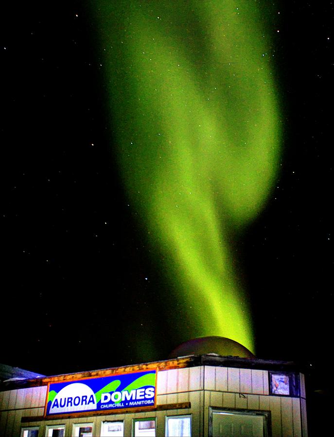 Aurora Domes Churchill Photograph by David Matthews