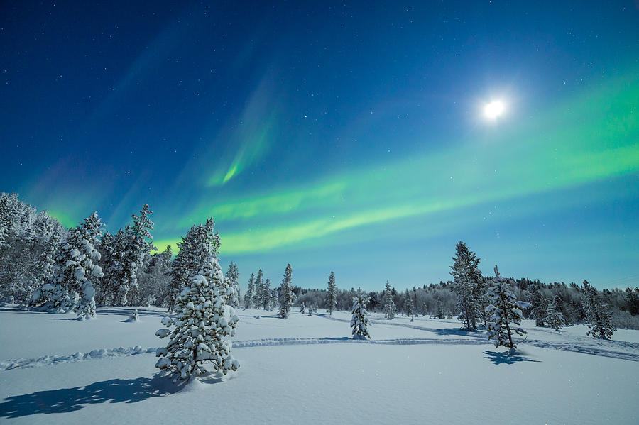 Aurora paradise Photograph by Roy Haakon Friskilae - Fine Art America