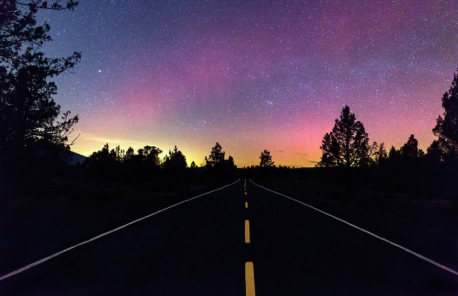 Nature Photograph - Aurora Road by Cat Connor