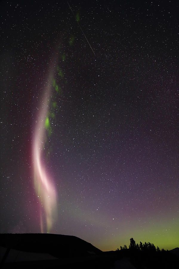Auroral Phenomonen known as Steve with a large Meteor Photograph by Jean Clark