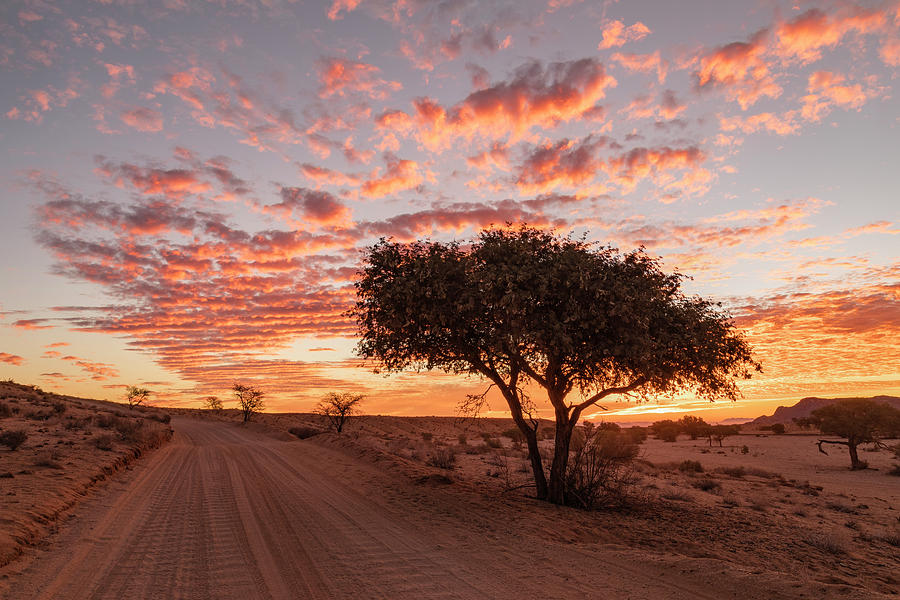 Aus - Namibia Photograph by Joana Kruse
