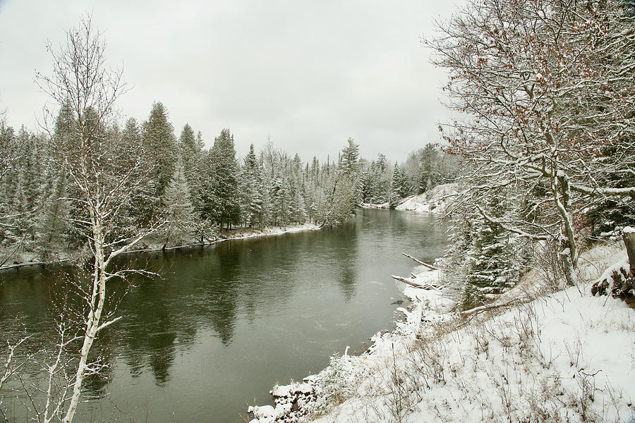 AuSable River 3109 Photograph by Michael Peychich