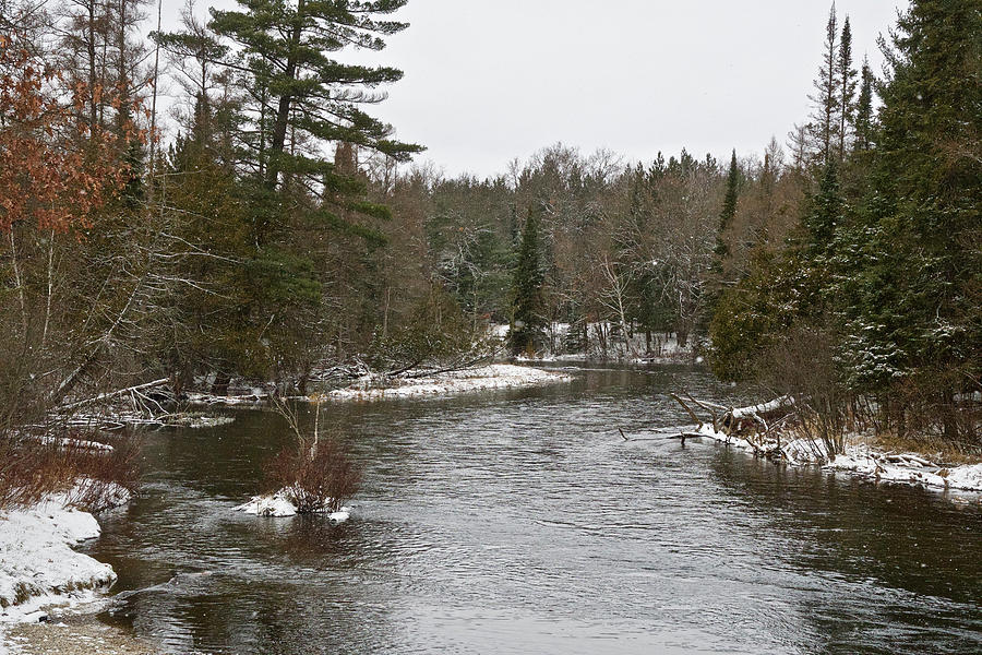 AuSable River 5498 Photograph by Michael Peychich