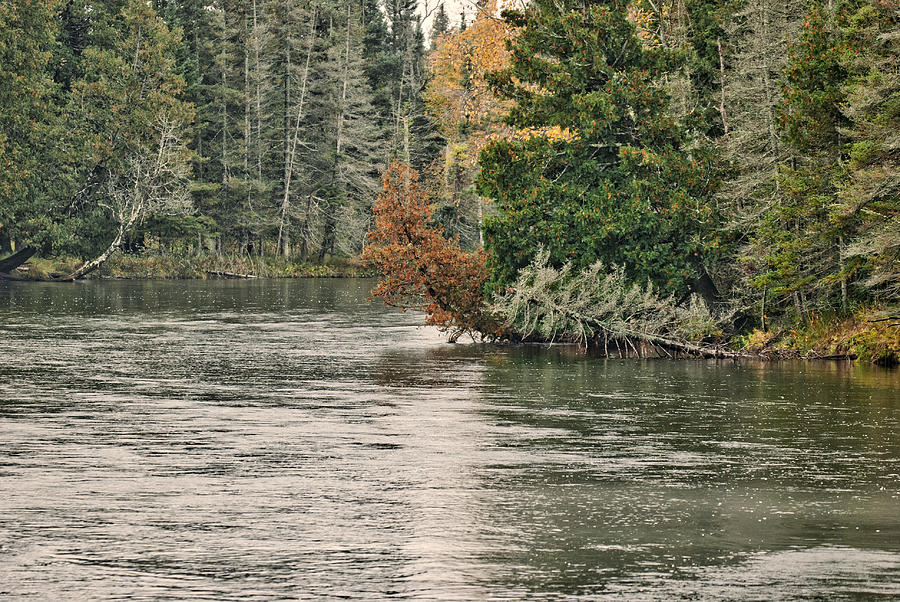 AuSable river 9899 Photograph by Michael Peychich