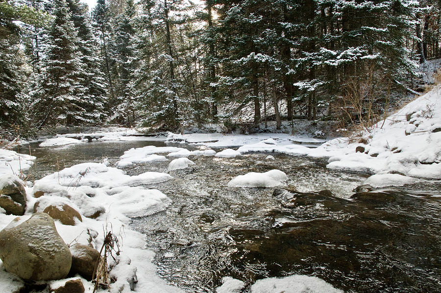 AuSable Tributary 4898 Photograph by Michael Peychich